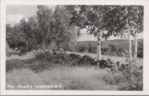 RPPC Postcard The Minks Warner NH New Hampshire