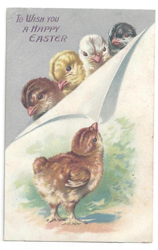 Tuck Easter Postcard Chicks Silver Vintage Embossed Series 1