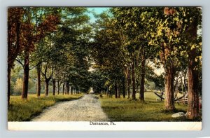 Damascus PA-Pennsylvania, Scenic Tree-Lined Canopy Road, Vintage c1932 Postcard 