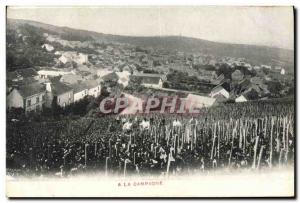 Old Postcard Folklore Wine Vintage Champagne In the countryside