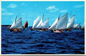 Vtg Maine ME Annual Races of Friendship Sloops Sail Boats 1980s View Postcard