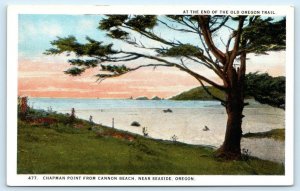 CHAPMAN POINT from Cannon Beach near SEASIDE, Oregon OR ~ c1930s Postcard