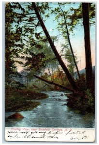 c1905 Trolley View Near Richfield Springs New York NY Posted Antique Postcard