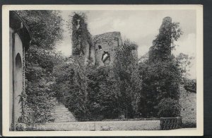 Germany Postcard - Bad Lippspringe - An Der Ruine    RS16942