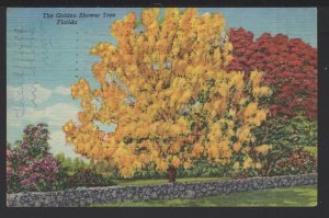 The Golden Shower Tree Florida by Tropical Florida Series pm1961 ~ Linen