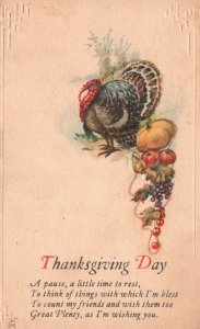 Thanksgiving Day Holiday Greetings Turkey Pumpkins Vintage Postcard