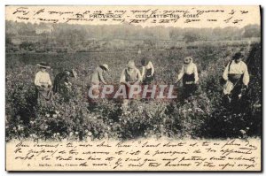 Old Postcard picking roses Provence