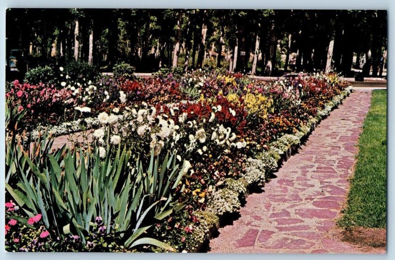 Anaconda Montana Postcard Washoe Park Colored Flower Pioneer Cabin c1960 Vintage