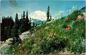 Postcard WA Mt. Rainier from Dewey Lake Trail