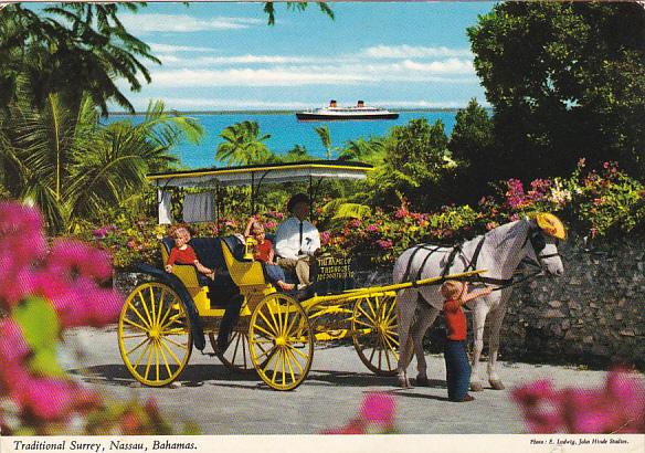 Horse And Buggy Traditional Surrey Nassau Bahamas