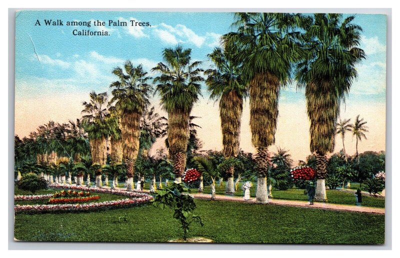 Walk Along the Palm Trees California CA UNP DB Postcard Z9