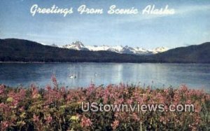 Admiralty Island - Juneau, Alaska AK