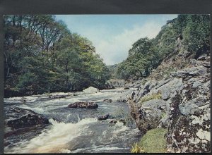 Wales Postcard - River Lledr Near Betws-Y-Coed   RR2083