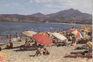 BF20467 argeles sur mer la plage et le massif des albe  france  front/back image