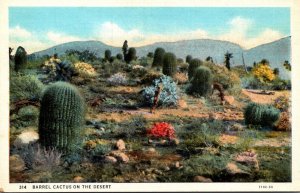 Cactus Barrel Cactus On The Desert Curteich