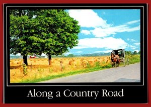 Indiana - Along A Country Road - Amish Farmland - [IN-094X]