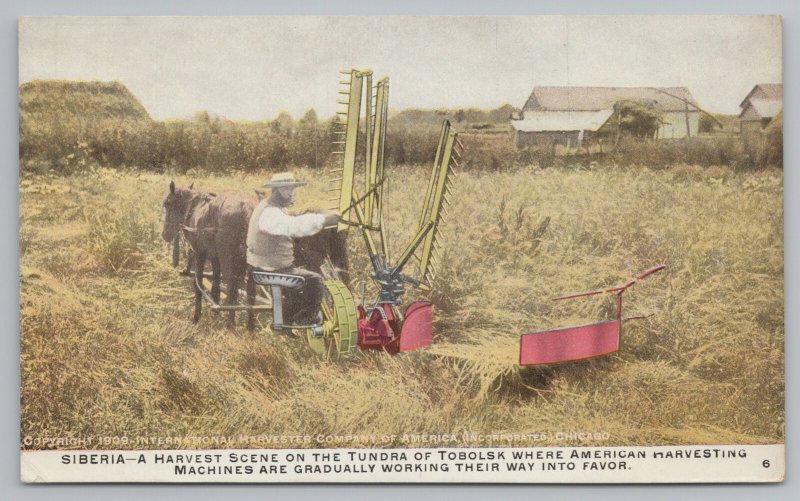 Farm~Siberia~Harvesting Scene On Tundra Of Tobolsk~Vintage Postcard 