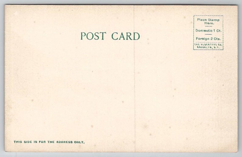 Standard Horse Shoe Works South Wareham MA Cape Cod Albertype Postcard A40