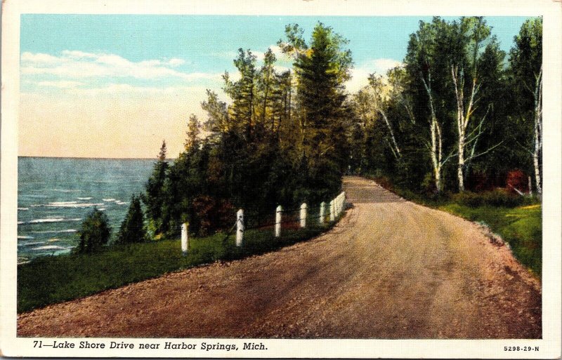 Vtg Harbor Springs Michigan MI Lake Shore Drive 1930s Linen View Postcard