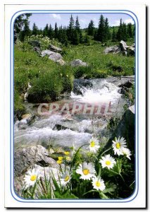 Postcard Modern Creek duvalant splashing refreshing