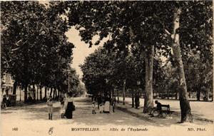 CPA MONTPELLIER - Allée de l'Esplanade (510872)