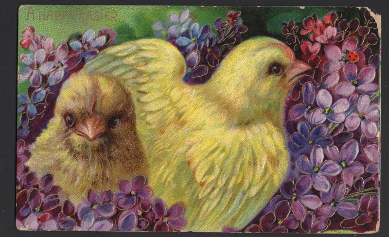 A Happy Easter with Chicks and Flowers embossed pm1910 ~ DB