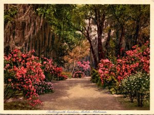 Alabama Mobile Scene In Bellingrath Gardens
