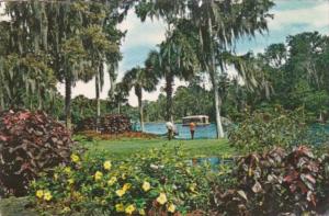 Florida Silver Springs Landscaped Park and Glass Bottom Boat