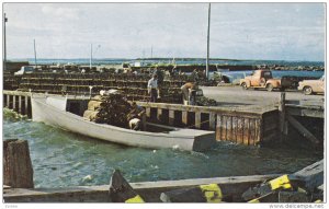 Lobster Season , East Coast , New Brunswick , Canada , 50s-60s