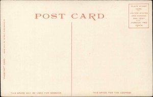 Yellowstone Park Wyoming WY Mt Washington  10768 Detroit Pub c1910 Postcard