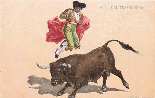 Bull Fight Salto Del Trascuerno