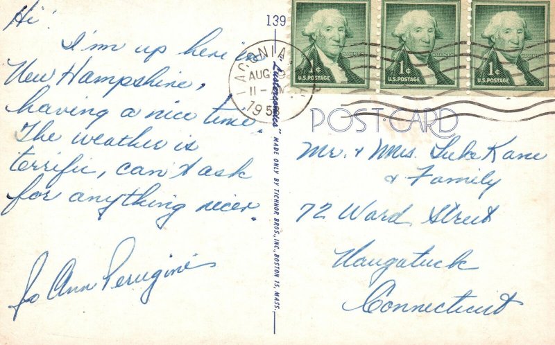 Vintage Postcard 1958 Sun Burned And Couldn't Sit Down For A Week Bird Comic