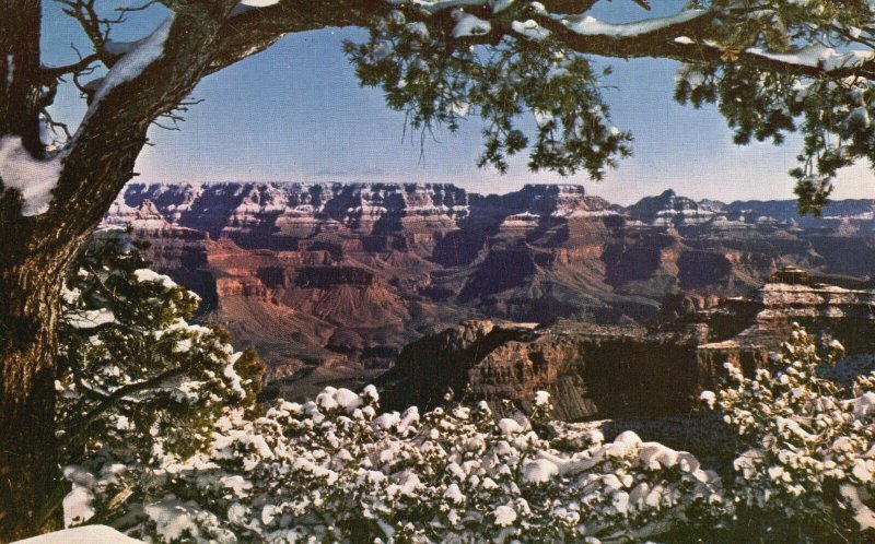 Vintage Postcard Grand Canyon National Park Winter Snow-Capped Rim Arizona AZ