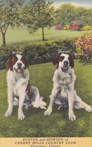 Illinois Flossmoor Buster And Bowser Of Cherry Hills Country Club