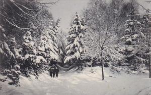 Beautiful Winter Scene Rotograph