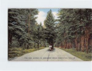 Postcard Pine Row, Highway 55, Menominee American Indian Reservation, Wisconsin