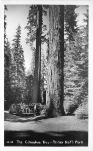 Washington 1940s The Columbus Tree Rainier RPPC Photo Postcard 21-11918