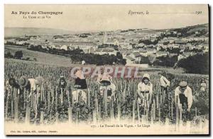 Old Postcard Folklore Wine Harvest Vine Champagne Epernay The vineyard work T...