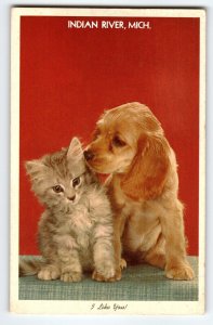 Golden Retriever Puppy Dog & Grey Kitten Cat Postcard Indian River Michigan