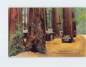 Postcard Lanes Redwood Flat on the beautiful Redwood Highway Leggett CA USA