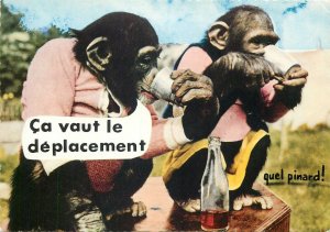 animal humor funny Postkarte Young dressed chimpanzees drinking wine