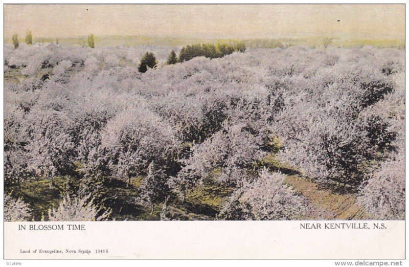 In Blossom Time , KENTSVILLE , Nova Scotia , Canada , 00-10s