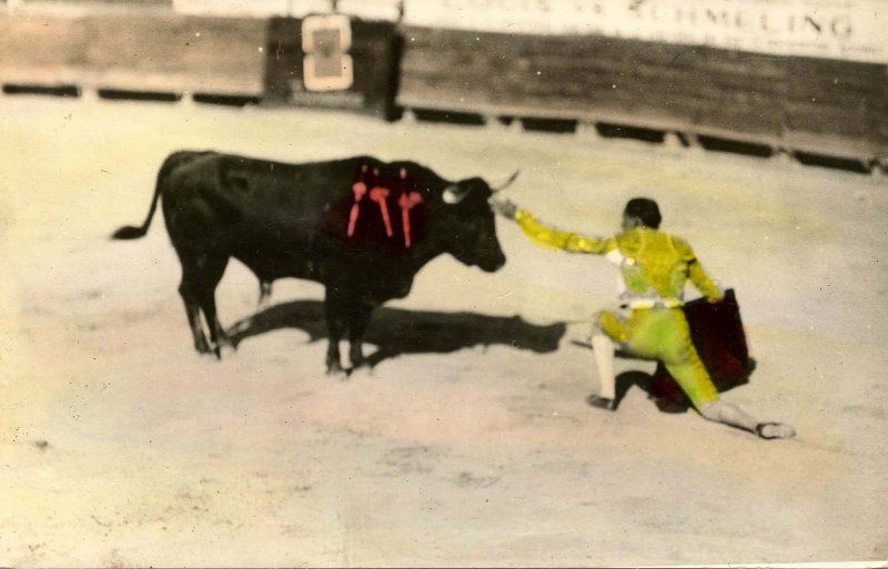 Mexico - Bullfight     RPPC