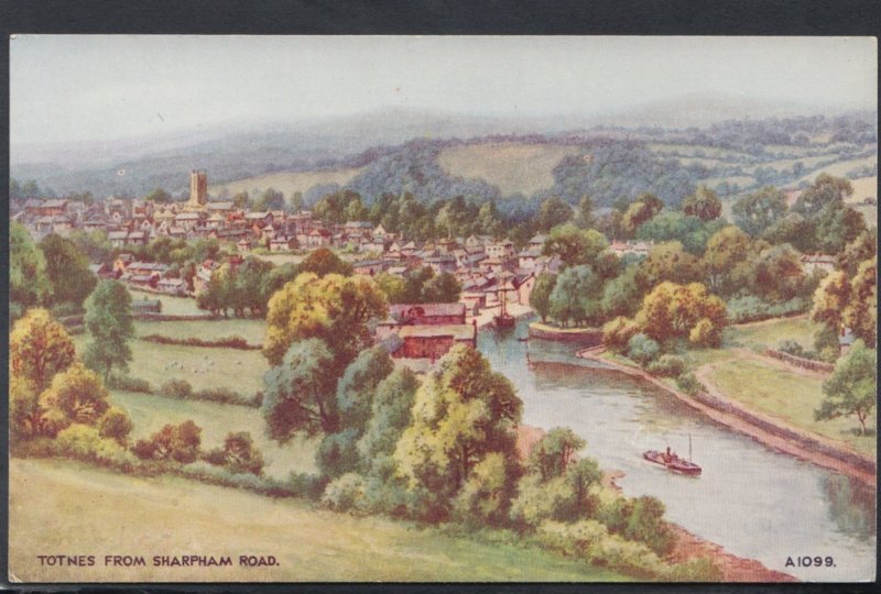 Devon Postcard - Totnes From Sharpham Road   DC2235