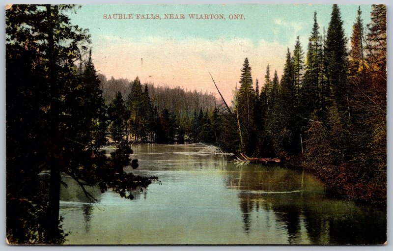 Postcard Wiarton Ontario c1910 Sauble Falls Split Ring Cancel Clavering ONT
