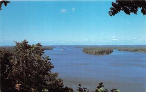 Hannibal Missouri~Turtle Island-Mississippi River View (from Riverview Park)~60s