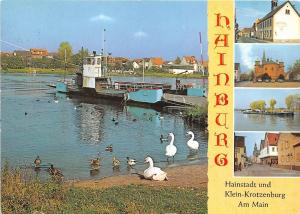 BG12625 cygne swan hainburg hessen  ship bateaux  germany