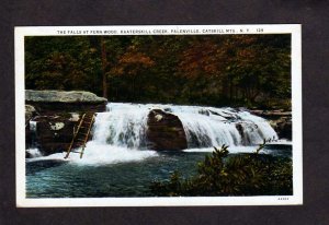 NY Fern Wood Falls Waterfalls Creek PalenvilleCatskill Mtns New York Postcard