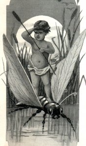 1870s T.H. Brackett Steel Plate Engraving Fantasy Fairy Riding Wasp F195