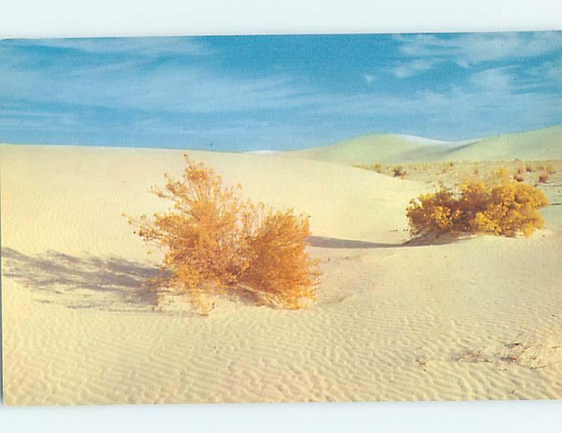 Pre-1980 DUNES SCENE White Sands - Near Alamogordo & Las Cruces NM G5775